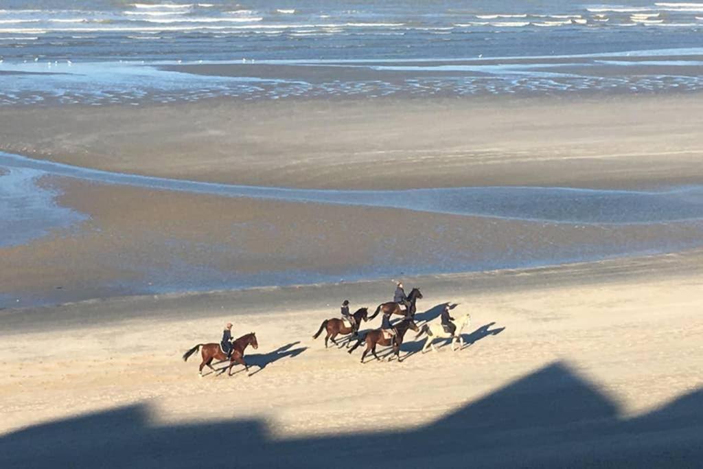 Entre Dunes Et Mer Bray-Dunes Εξωτερικό φωτογραφία